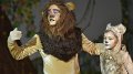 Lionking 0208